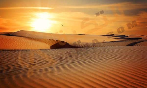 تفسير حلم الصحراء