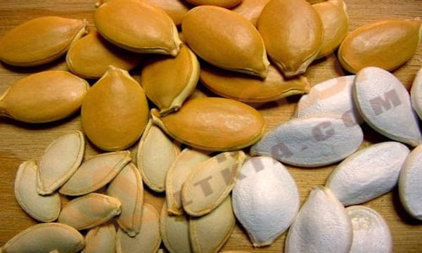 تفسير حلم اللب
