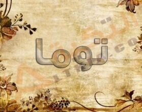 معنى اسم توما
