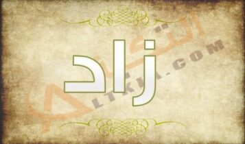 معنى اسم زاد