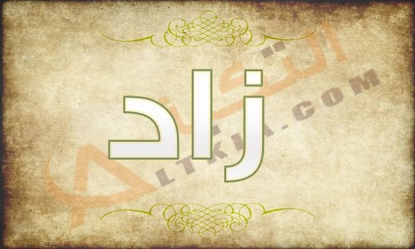 معنى اسم زاد