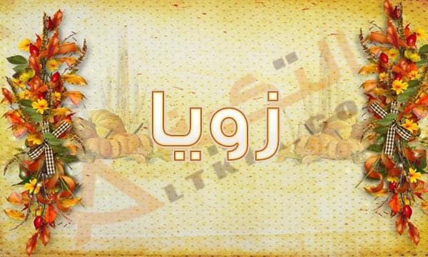 معنى اسم زويا