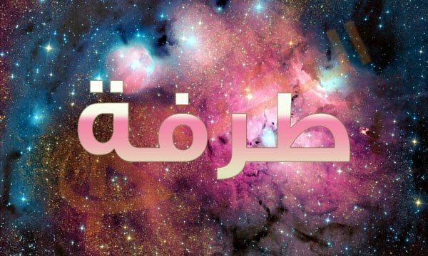 معنى اسم طرفة