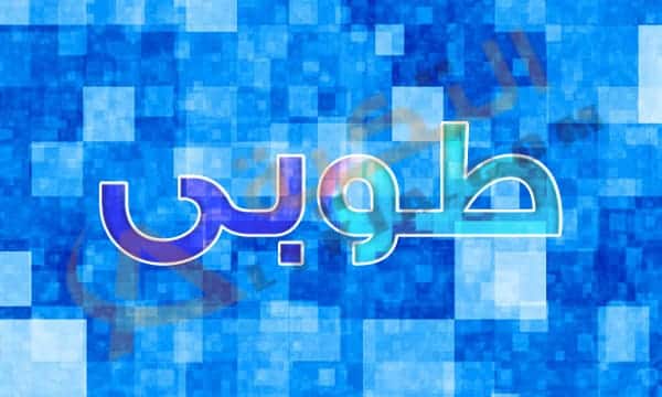 معنى اسم طوبى