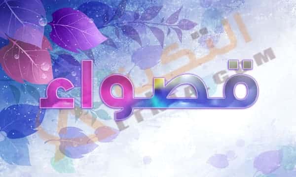 معنى اسم قصواء