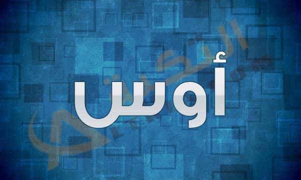 معنى اسم أوس