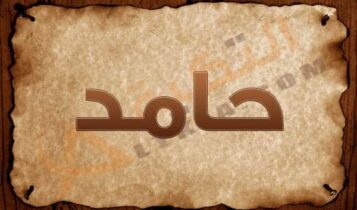 معنى اسم حامد