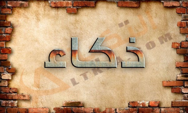 معنى اسم ذكاء