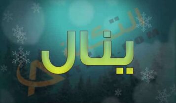 معنى اسم ينال