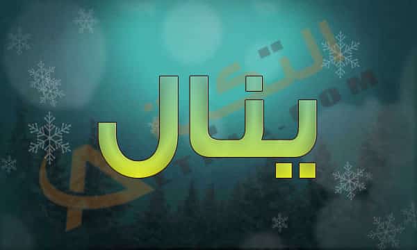 معنى اسم ينال