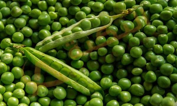 تفسير حلم البازلاء