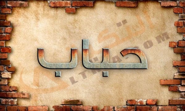 معنى اسم حباب