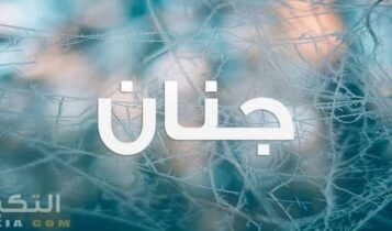 معنى اسم جنان