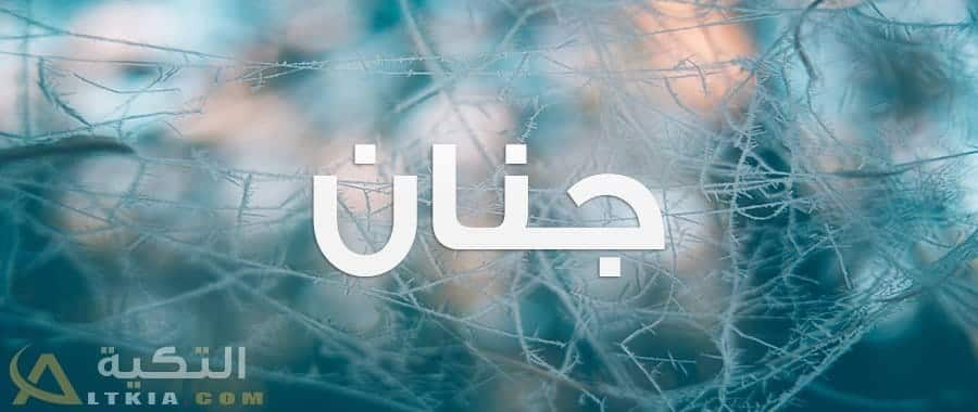 معنى اسم جنان