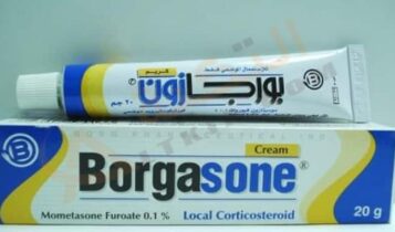 بورجازون
