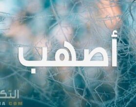 معنى اسم أصهب