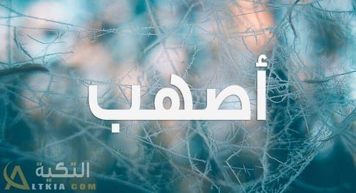 معنى اسم أصهب