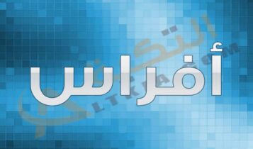 معنى اسم أفراس