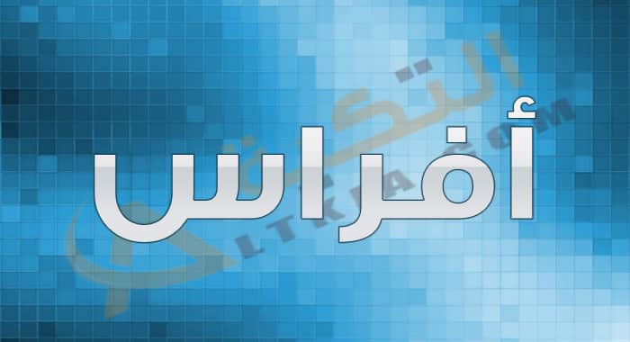معنى اسم أفراس