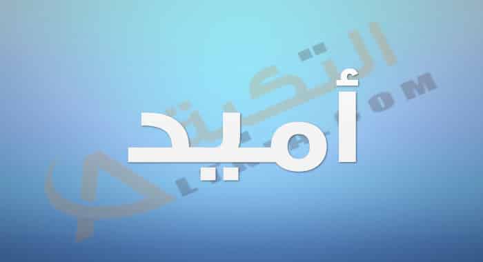 معنى اسم أميد