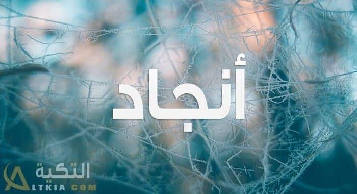 معنى اسم أنجاد