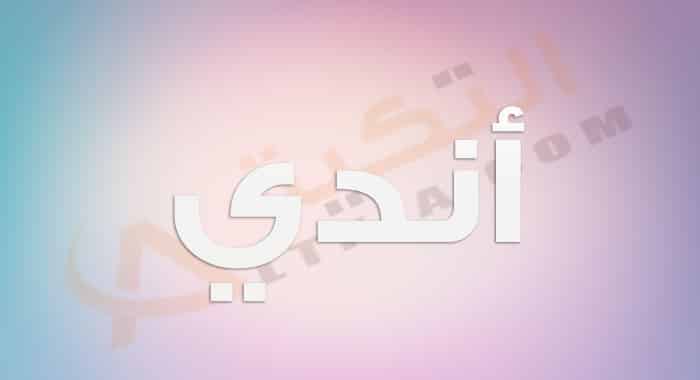 معنى اسم أندي