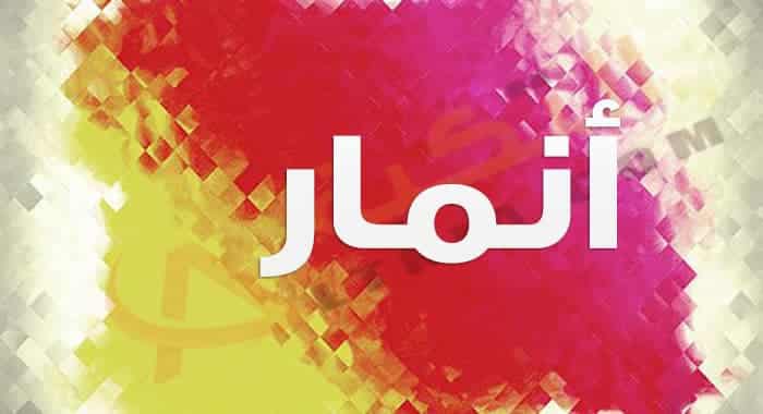 معنى اسم أنمار