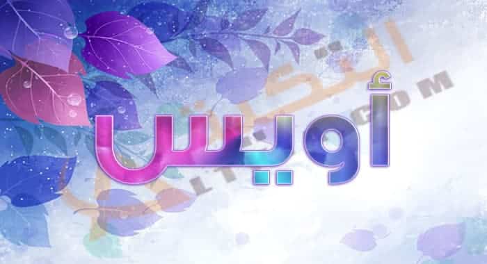 معنى اسم أويس