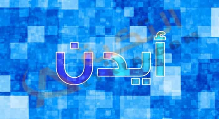 معنى اسم أيدن