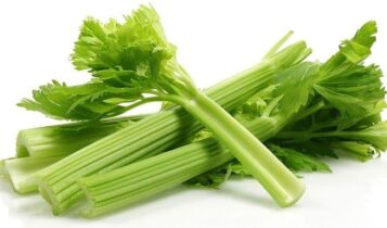 تفسير حلم الكرفس