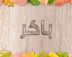 معنى اسم باكر