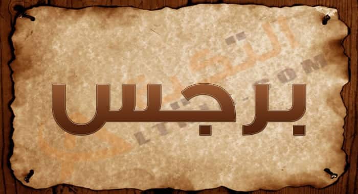 معنى اسم برجس