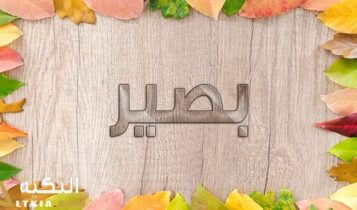 معنى اسم بصير