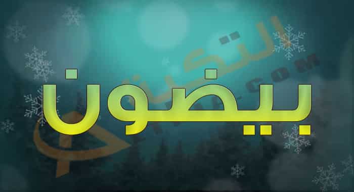 معنى اسم بيضون