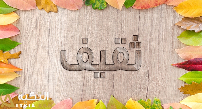 معنى اسم ثقيف