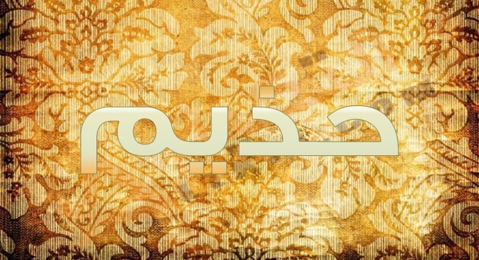معنى اسم حذيم