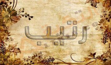 معنى اسم رتيب