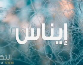 معنى اسم إيناس