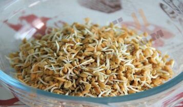 تفسير حلم الحلبة