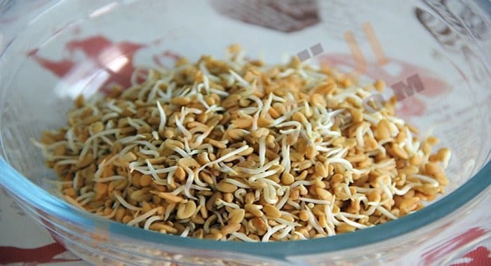 تفسير حلم الحلبة