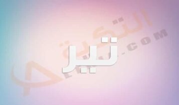 معنى اسم تير
