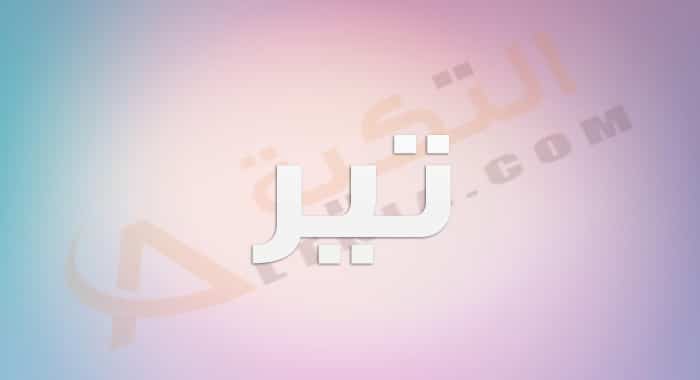 معنى اسم تير