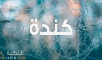 معنى اسم كندة