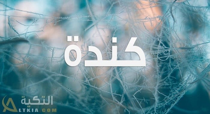 معنى اسم كندة