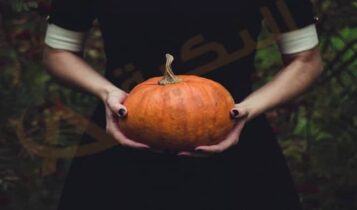 تفسير حلم القرع