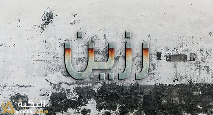 معنى اسم رزين