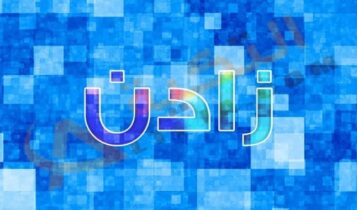 معنى اسم زادن