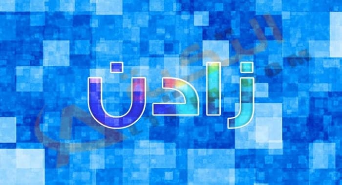 معنى اسم زادن