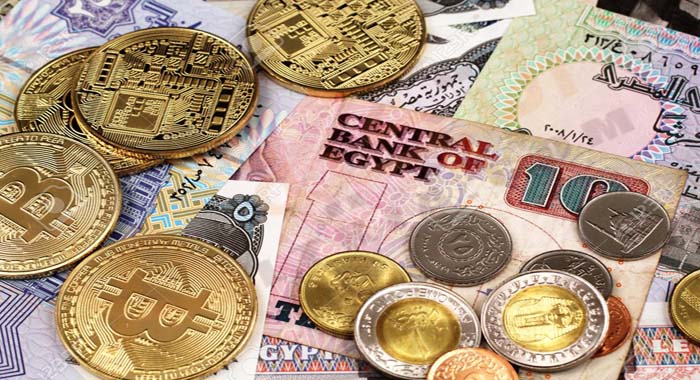 جمع النقود في المنام كنج كونج