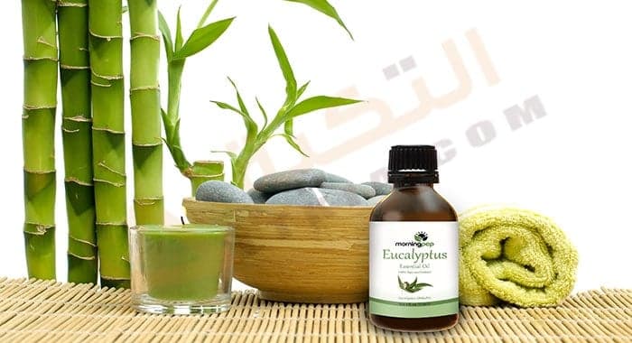 فوائد زيت الكافور